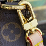 Louis Vuitton Pochette Accessoires M82766 Brown